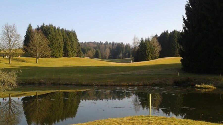 Bayerwald GCC - Dorn
