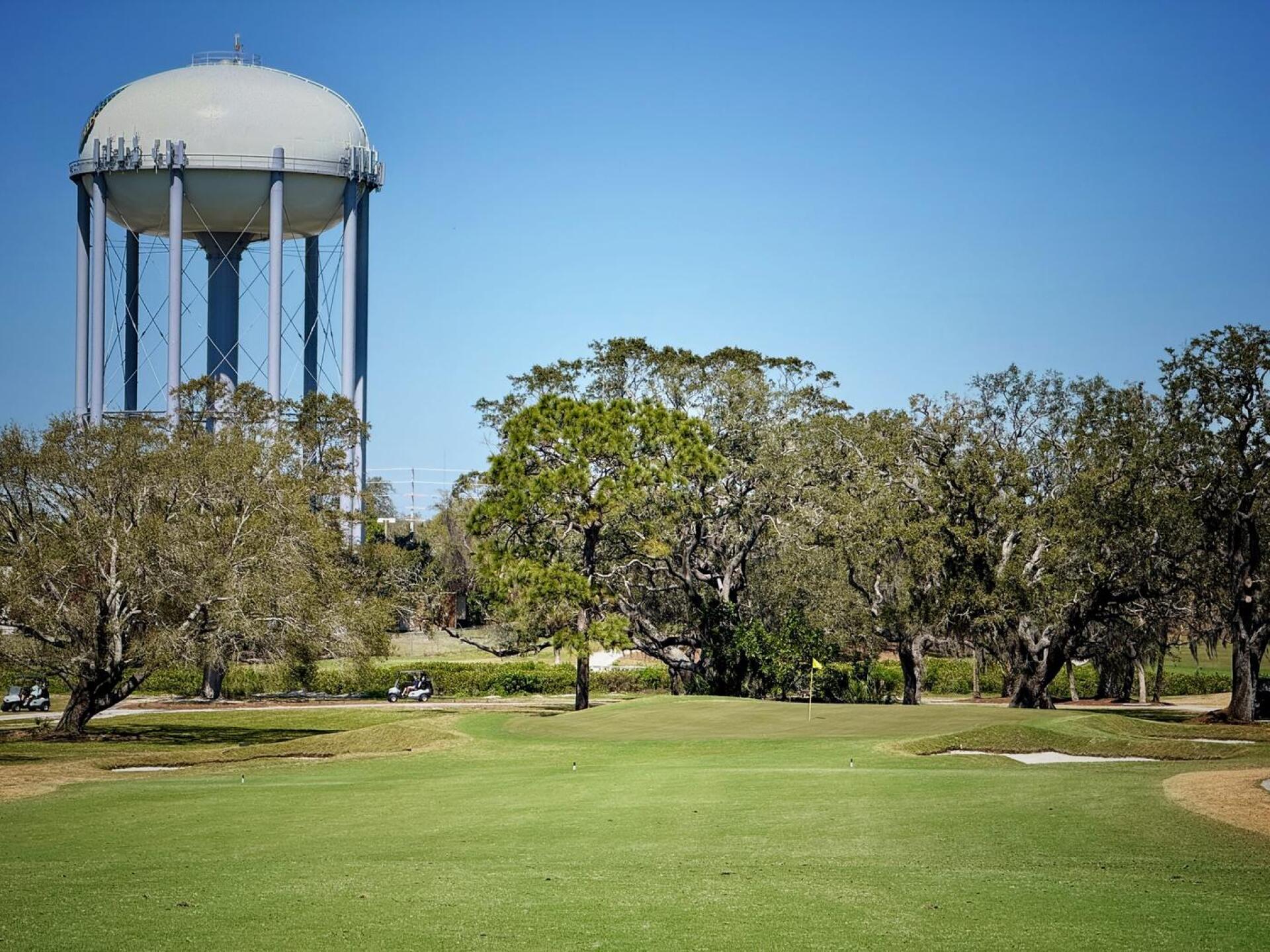 Dunedin, hole 10 (Photo submitted by TimGavrichGP on 11/25/2025)