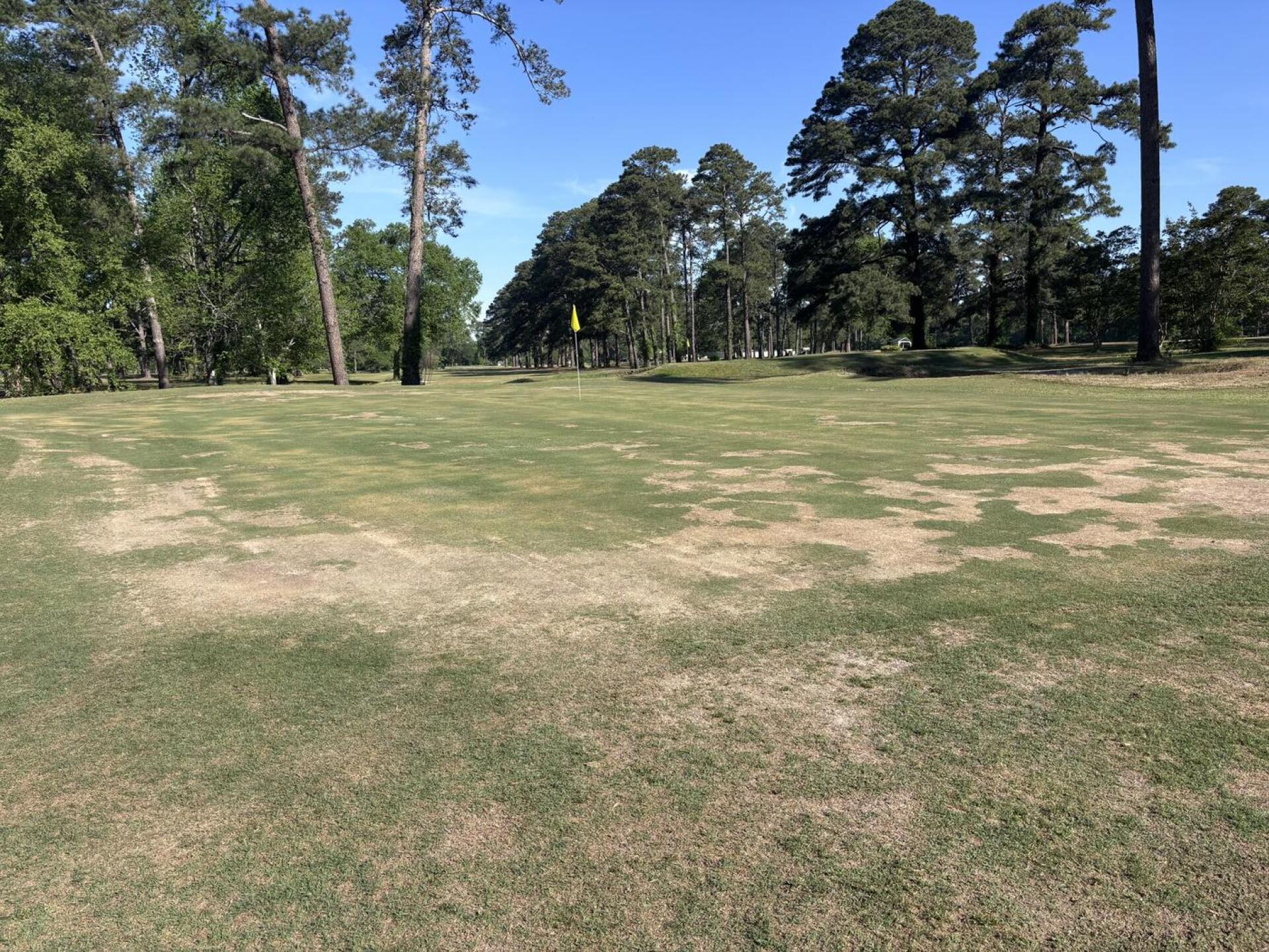 (Photo submitted by Chip1047 on 04/18/2026)