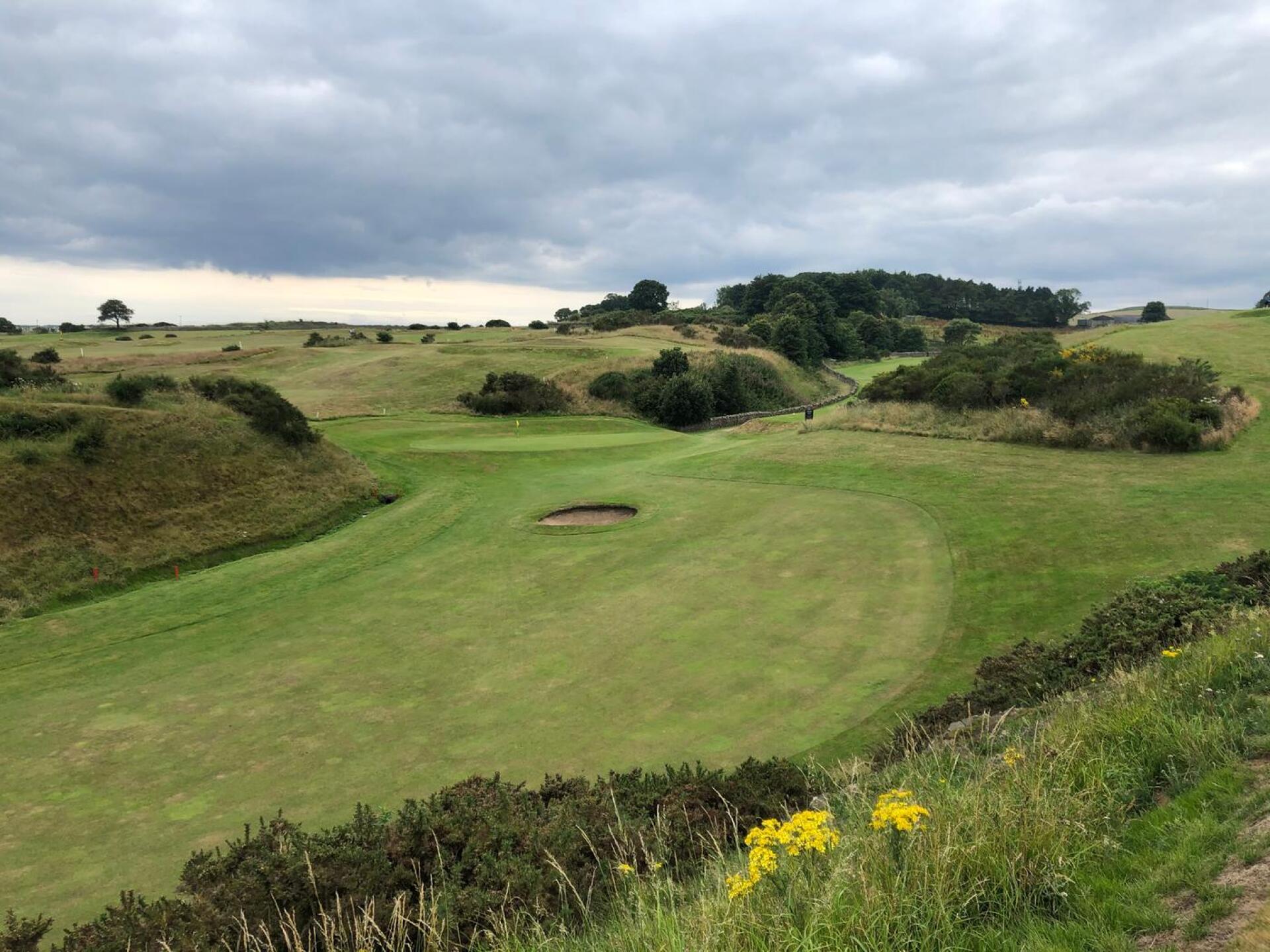 (Photo submitted by u314160495606 on 07/26/2020)