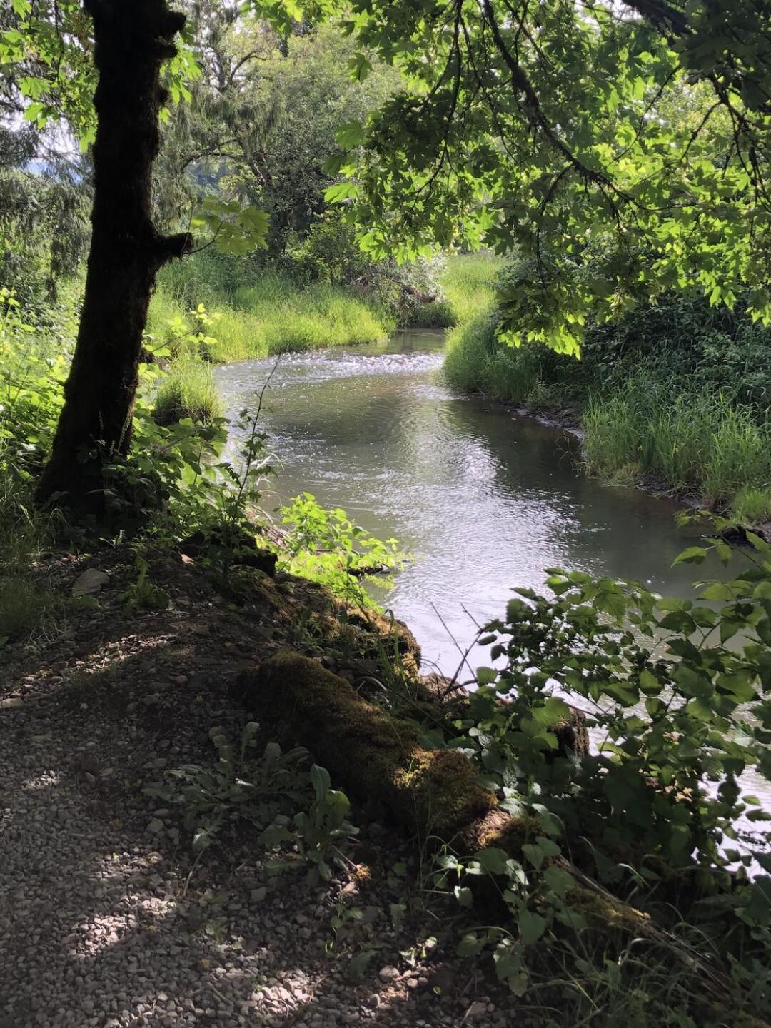 (Photo submitted by golfiggy on 05/30/2021)