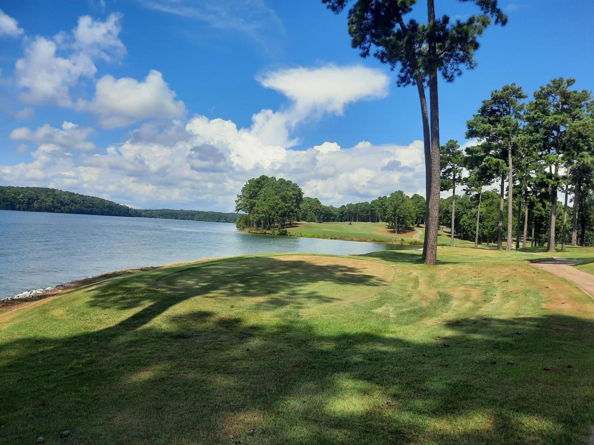 (Photo submitted by Russell1967 on 09/04/2022)