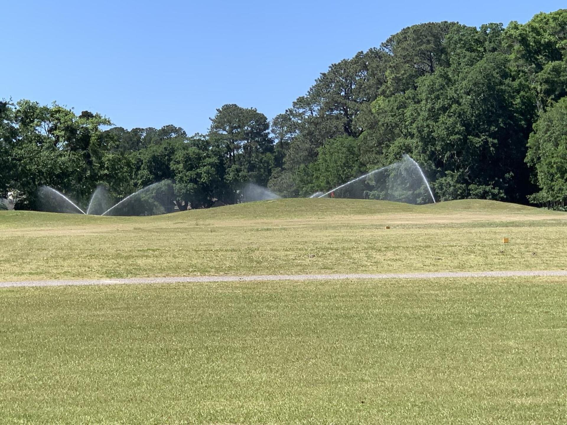 (Photo submitted by u314163891349 on 04/26/2023)