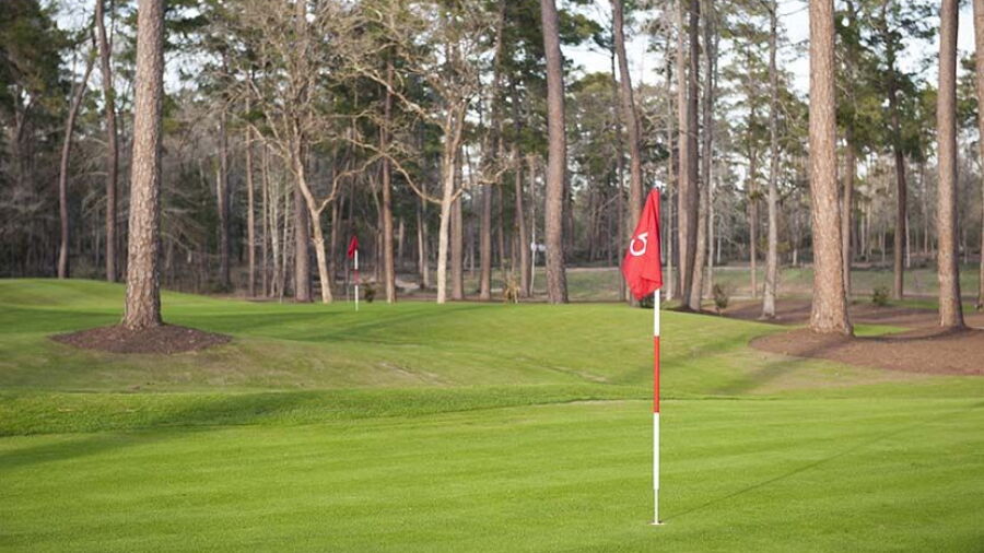 Bluejack National - The Playgrounds: #5