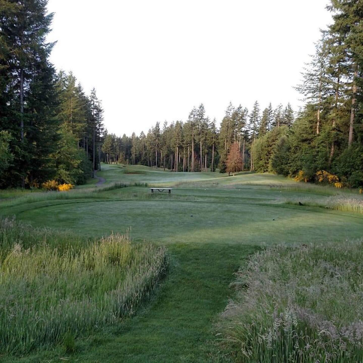 (Photo submitted by sorenj on 06/15/2017)