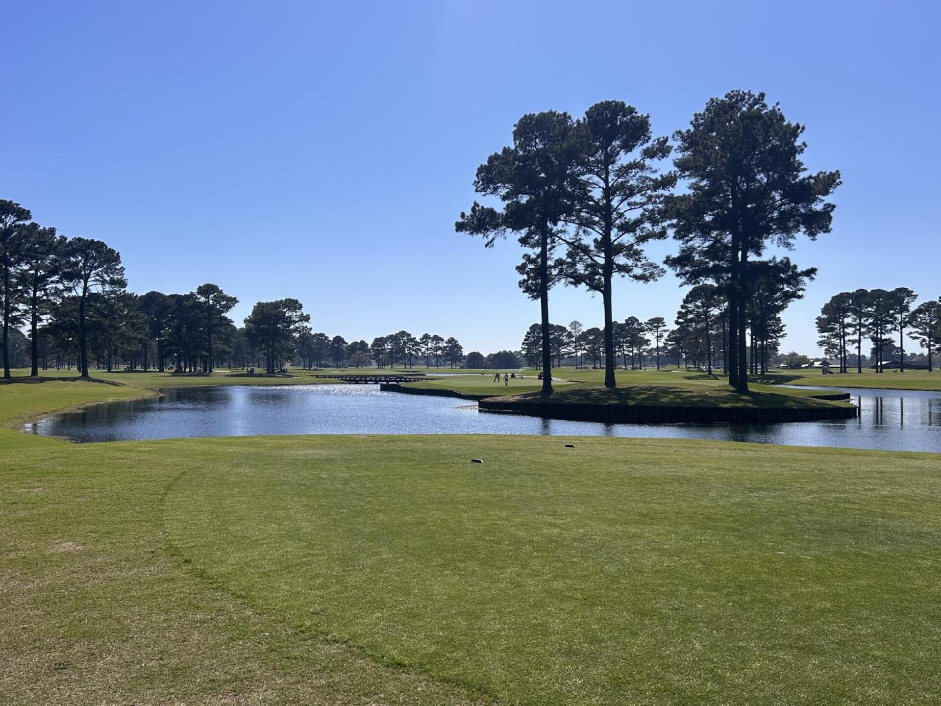 (Photo submitted by Frankydoo on 03/20/2026)