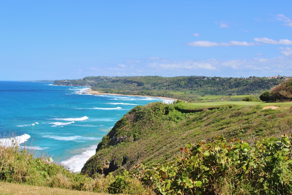 Royal Isabela golf course - hole 17