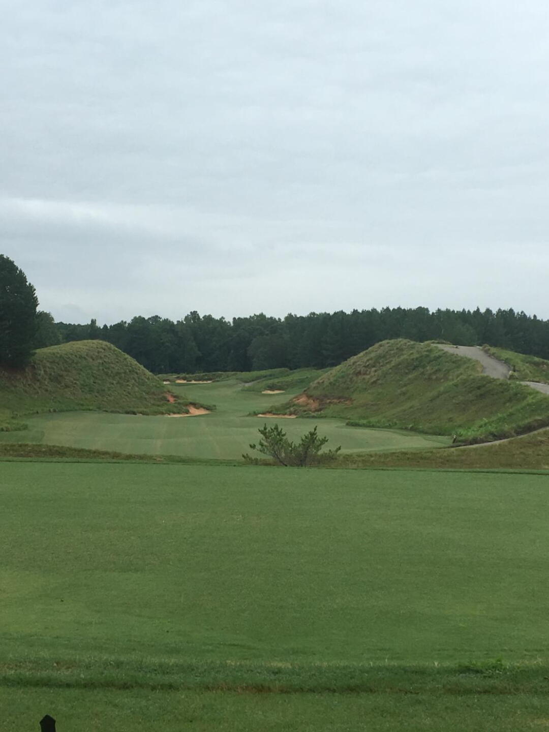 #1 tee - an introduction to Tobacco Road's many blind shots. (Photo submitted by DenisDotson on 08/25/2019)