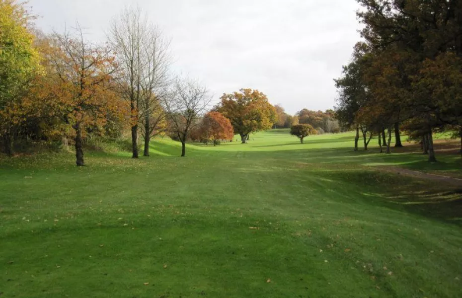 Alresford GC: tee #11