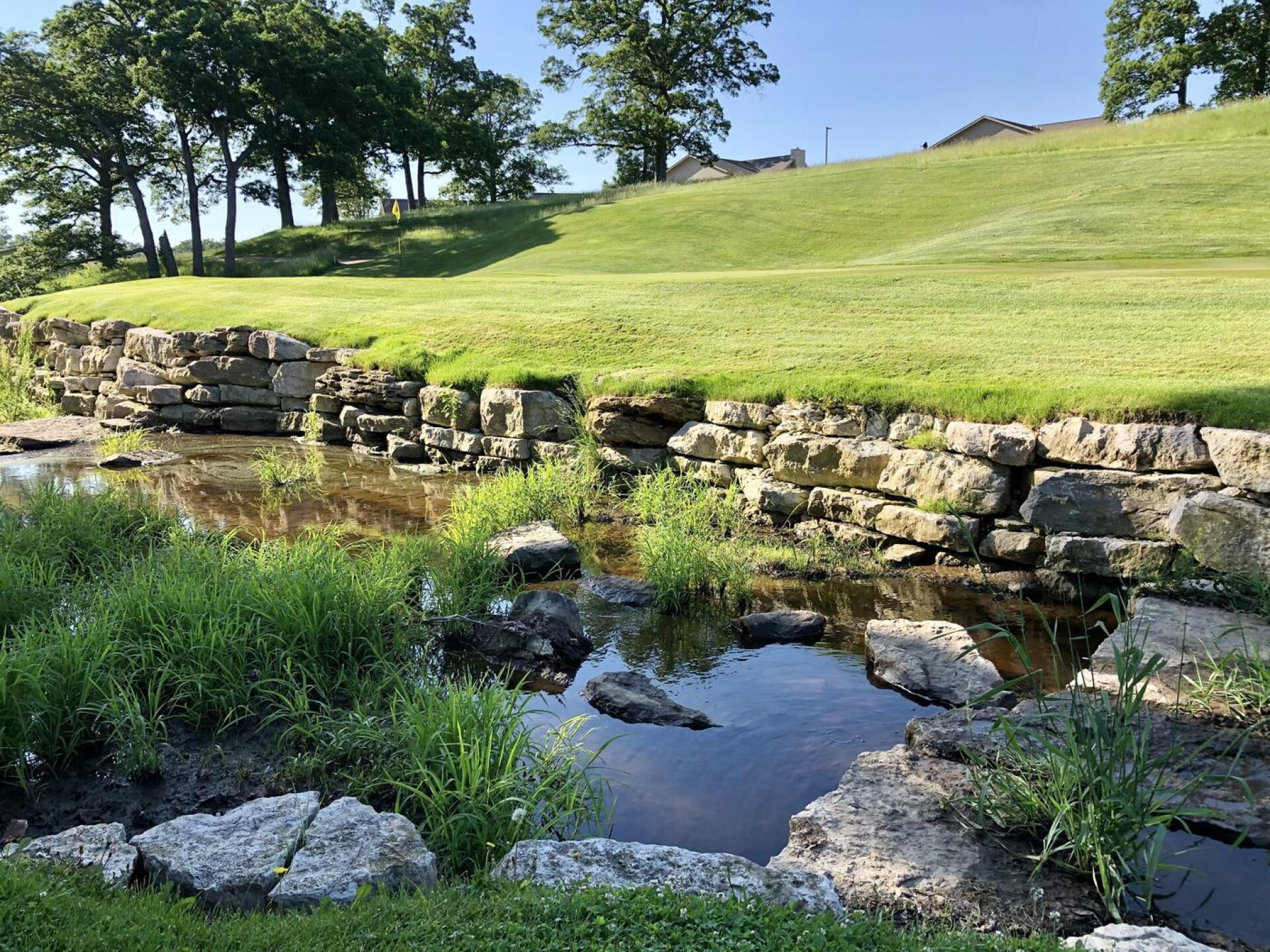 Ninth green (Photo submitted by BrandonWebb on 06/04/2021)