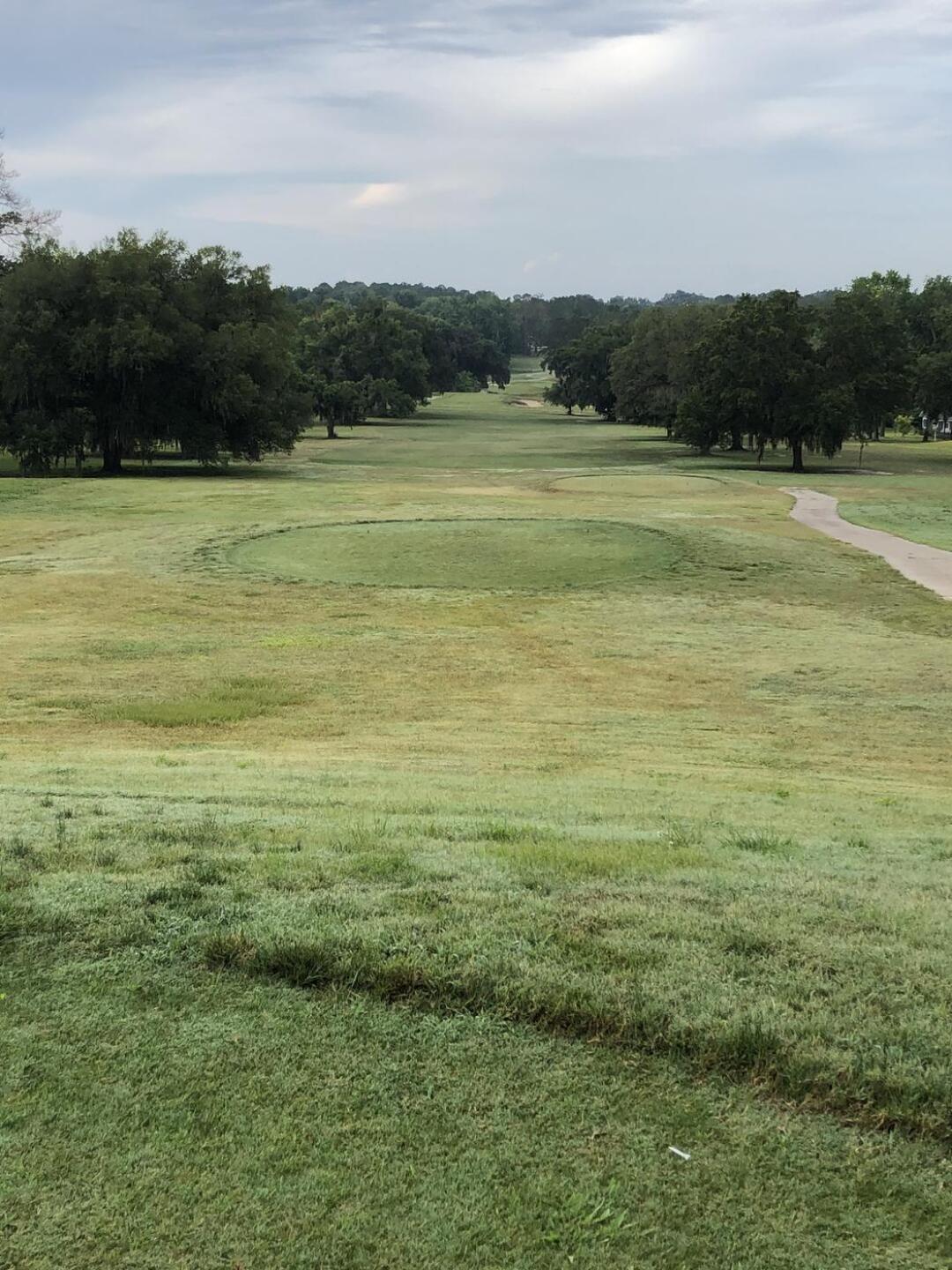 (Photo submitted by Greywolf33 on 05/30/2021)