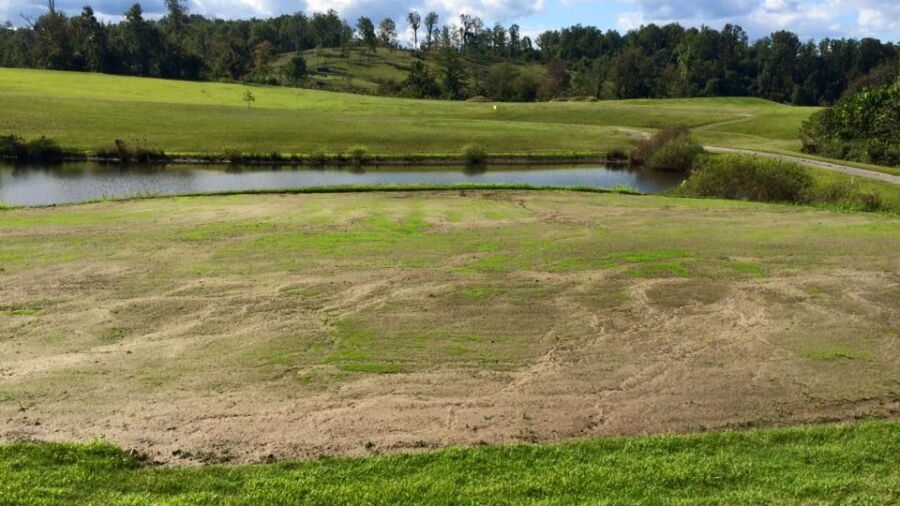 Meadows GC