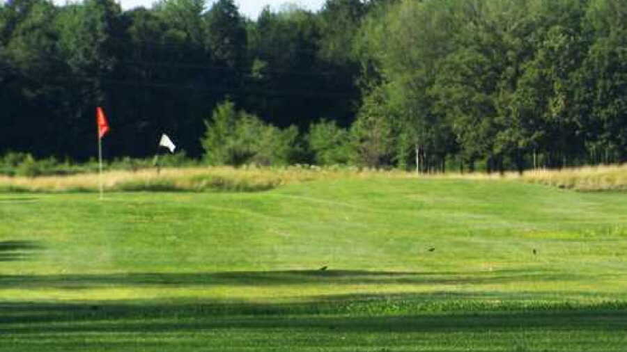 Leaning Tree GC