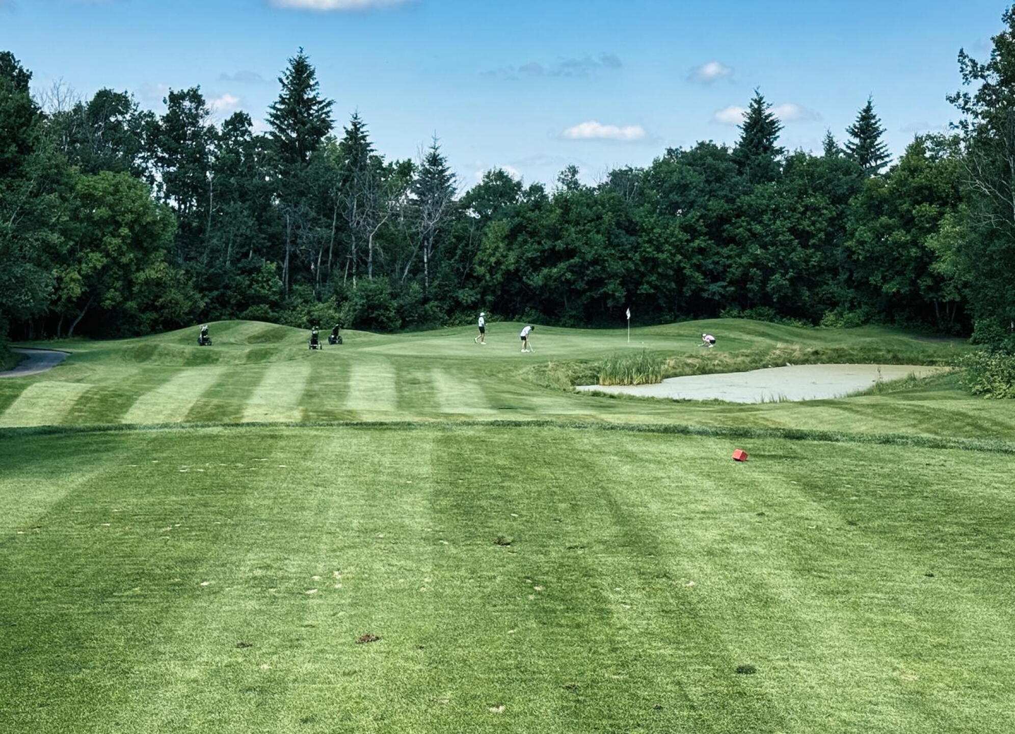 Cooke Municipal GC, Hole 12, Par 3, 130 yds (Photo submitted by DYakimec on 09/01/2026)