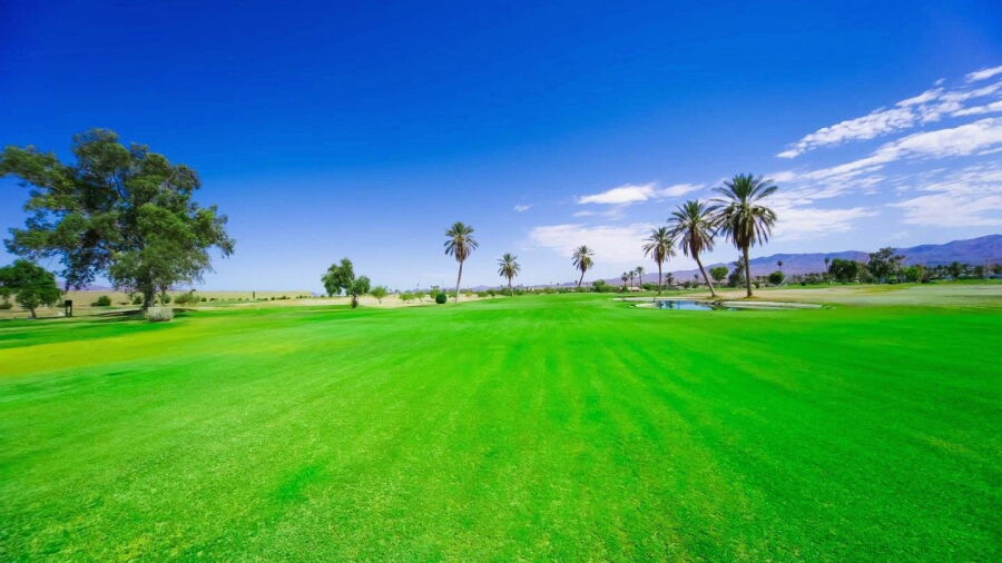 Havasu Island GC