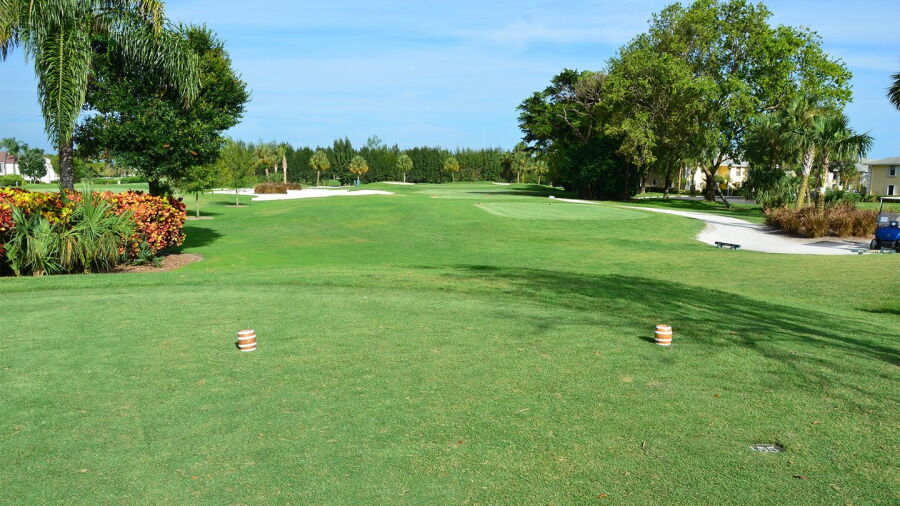 GC of Jupiter: #6