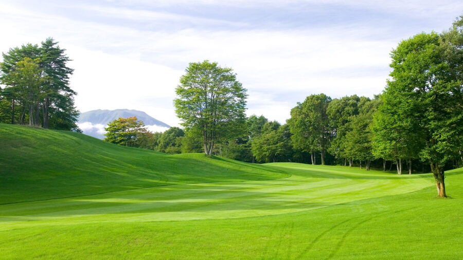 Maple CC: #18