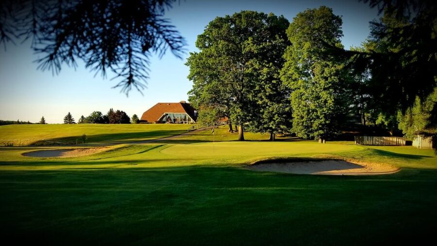 Pines at Lake Isabella