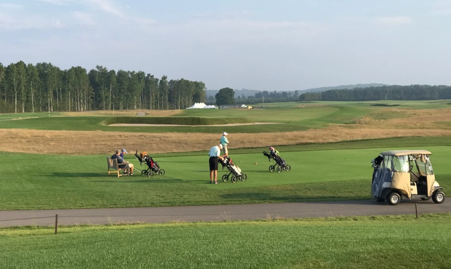 Golf cart with walkers