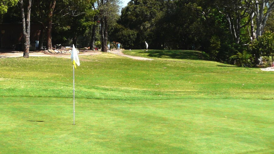 Gordon GC: #10