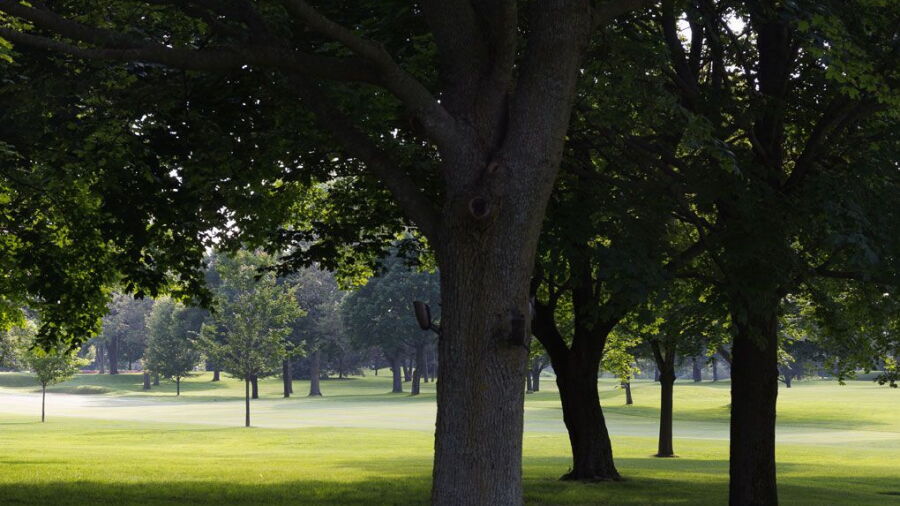 Crystal Lake CC