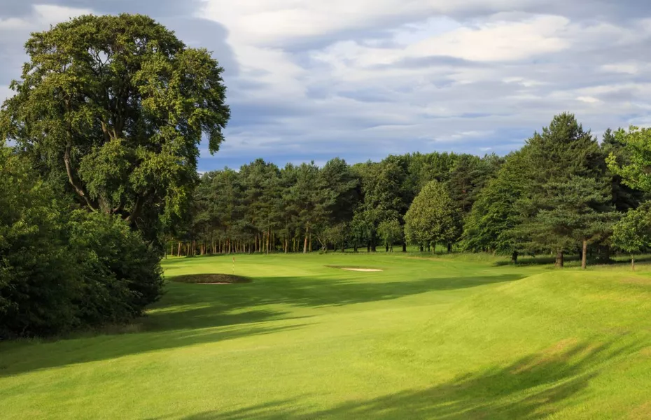 Malton & Norton GC - Welham: #4
