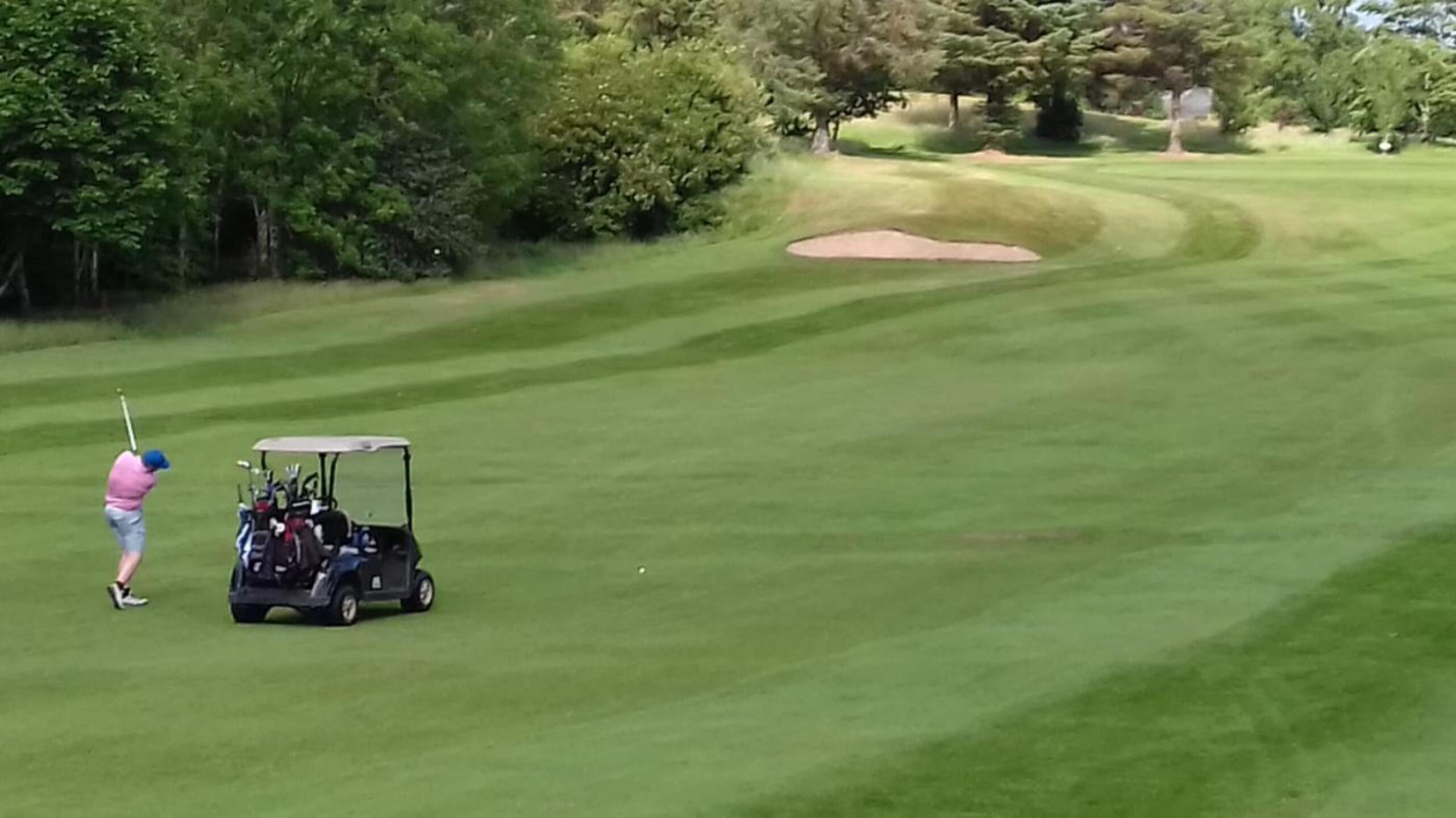 (Photo submitted by daza68 on 07/02/2019)