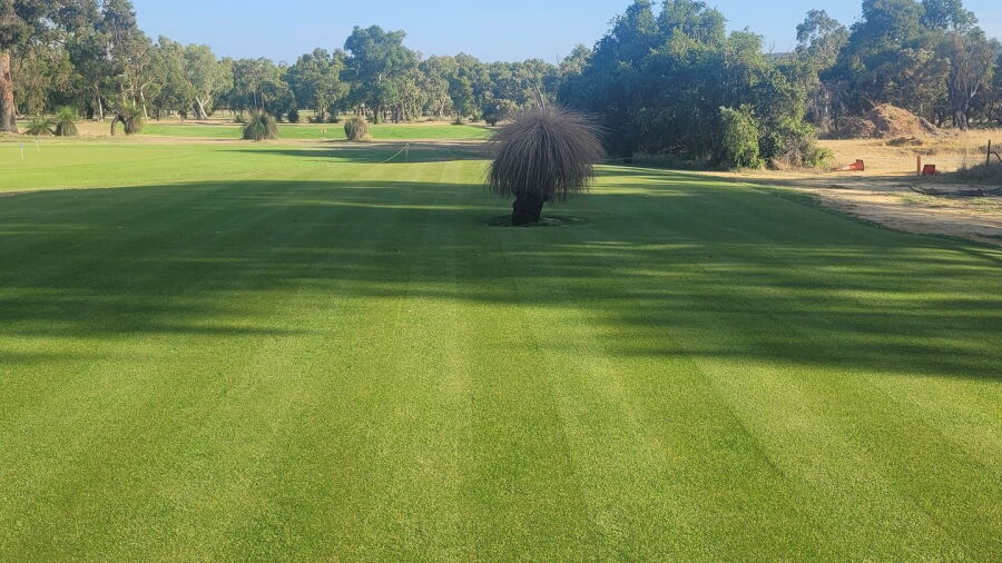 Chequers GC