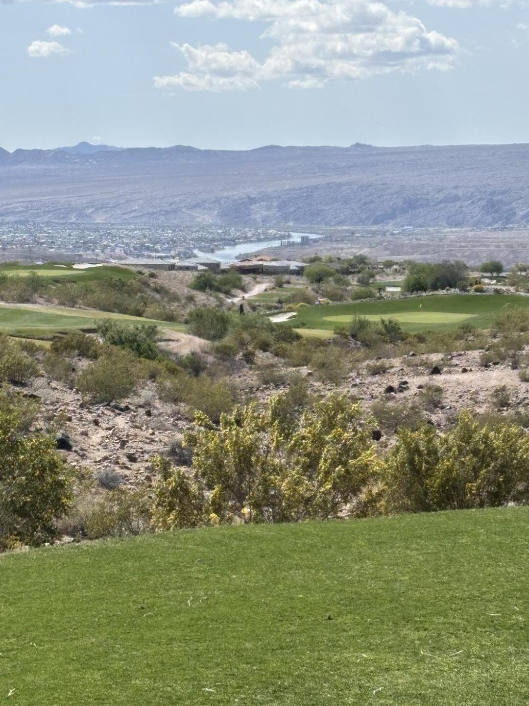 (Photo submitted by rilos61 on 04/02/2025)