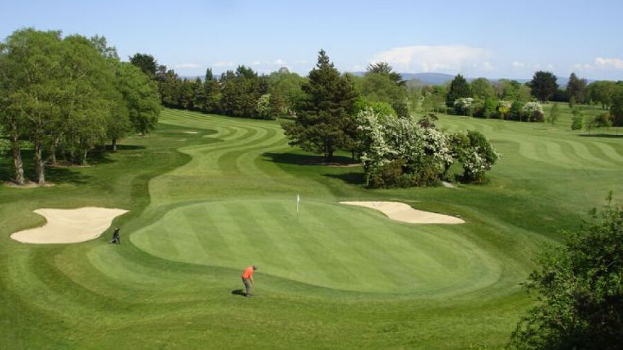 Castletroy GC: #3