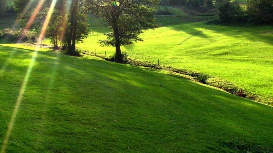 Freudenstadt GC