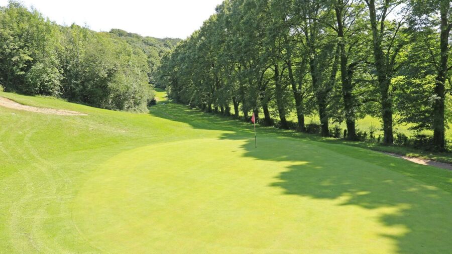 Dinas Powis GC: #9