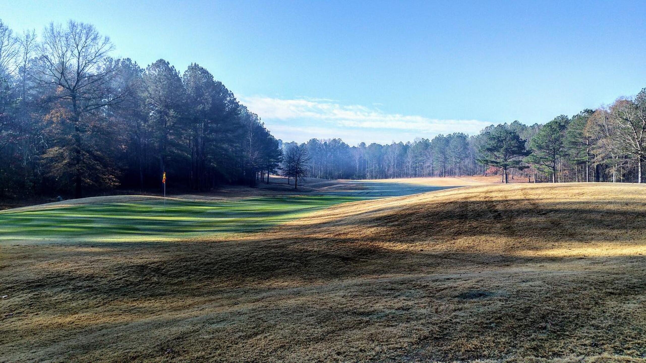 (Photo submitted by JayEmm on 02/11/2020)