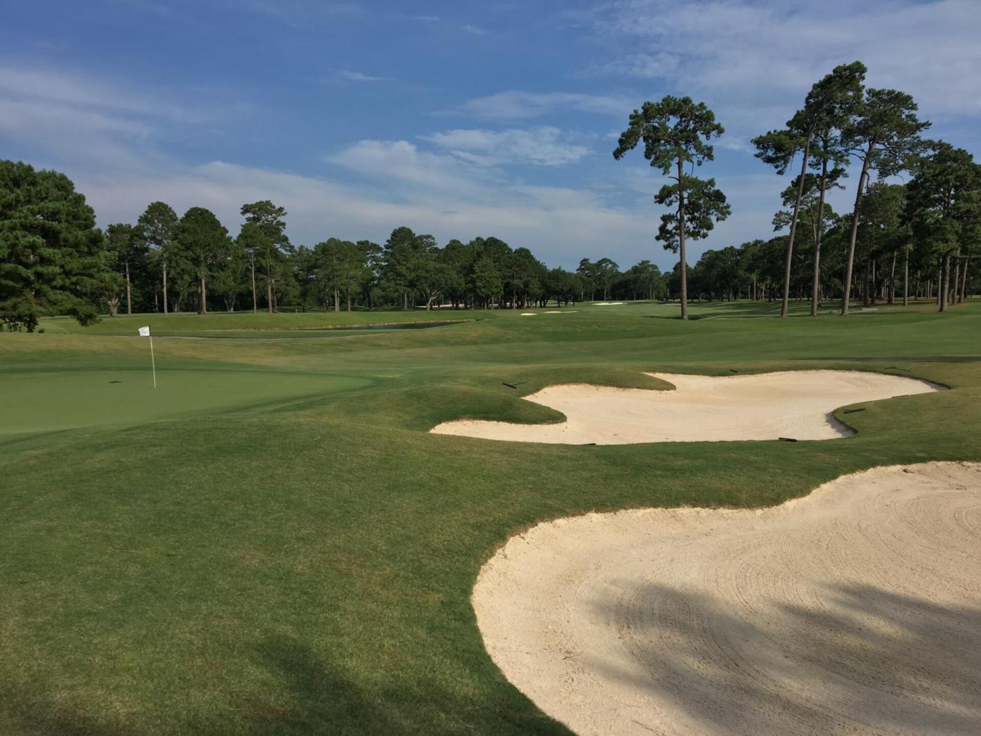 Par-5 16th green - Dogwood (Photo submitted by BrandonWebb on 07/03/2019)