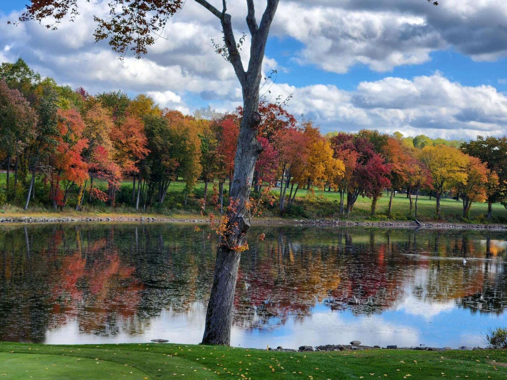 (Photo submitted by sunny1959 on 10/20/2022)