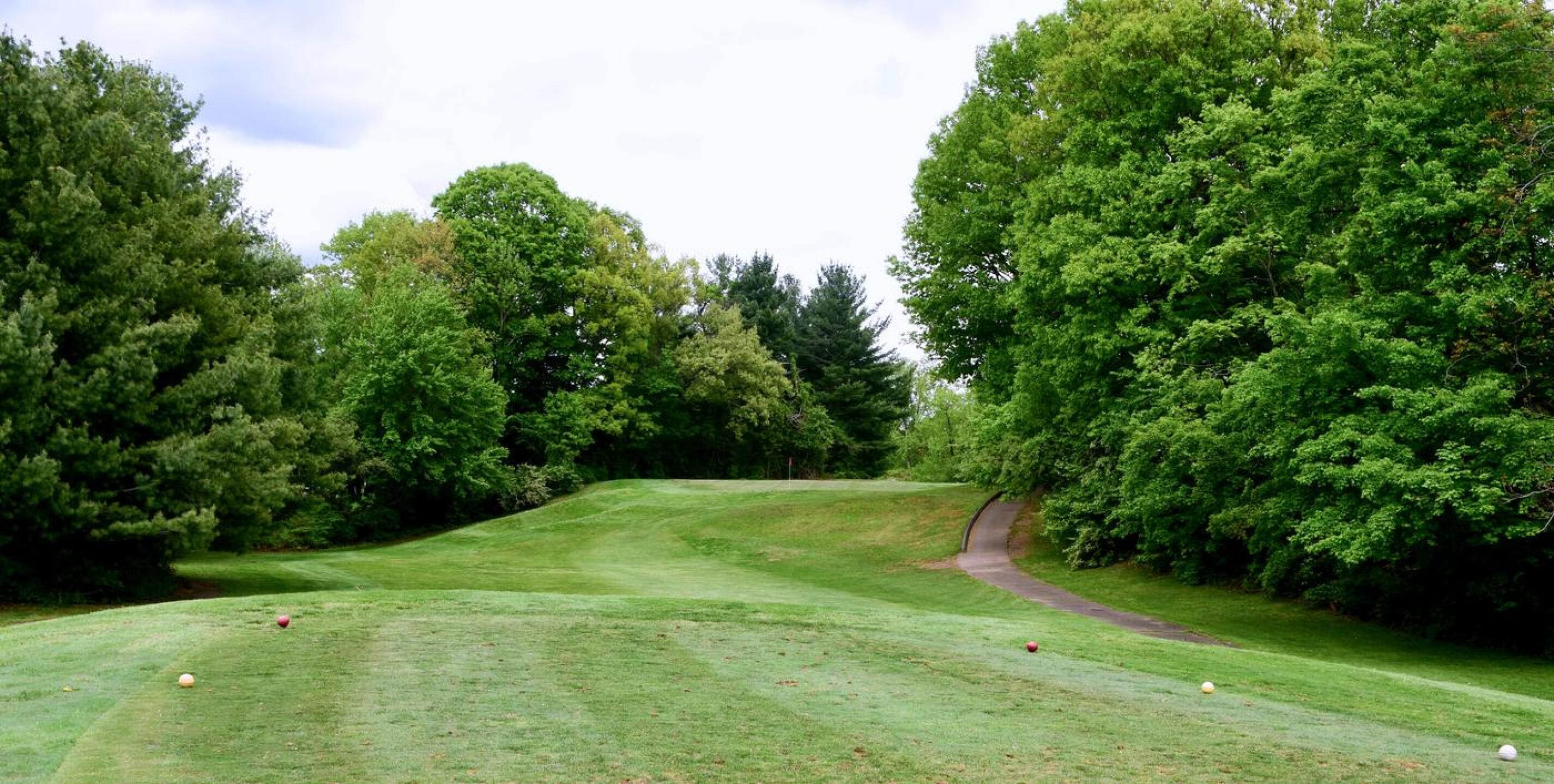 Eight is a good target hole. Its green is set upon a knoll with a big falloff to the left. (Photo submitted by AptlyLinked on 05/17/2026)