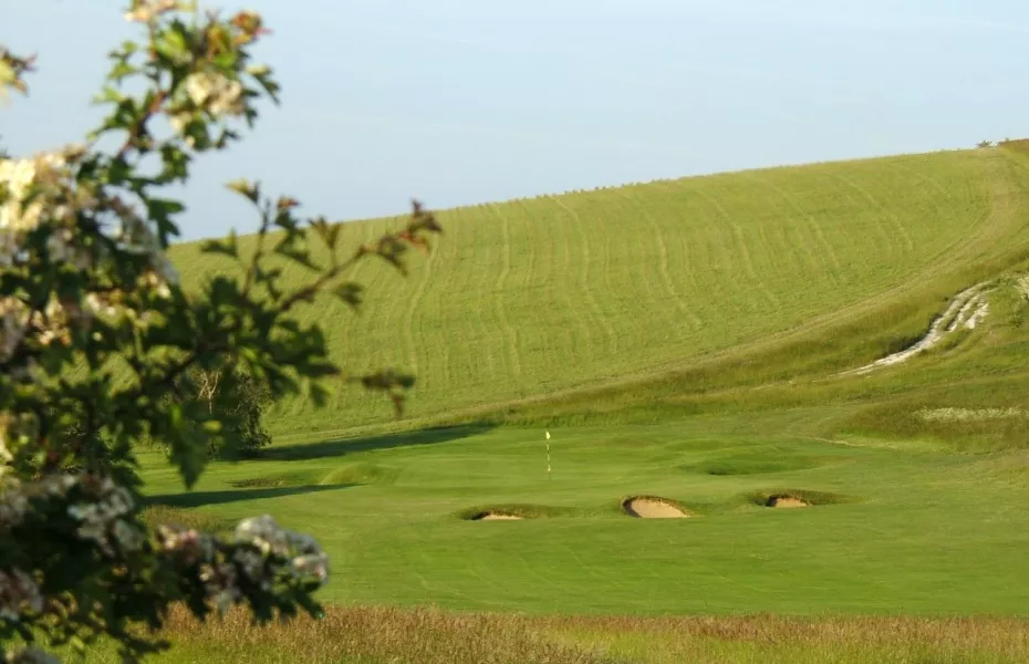 Royston GC: 15th green