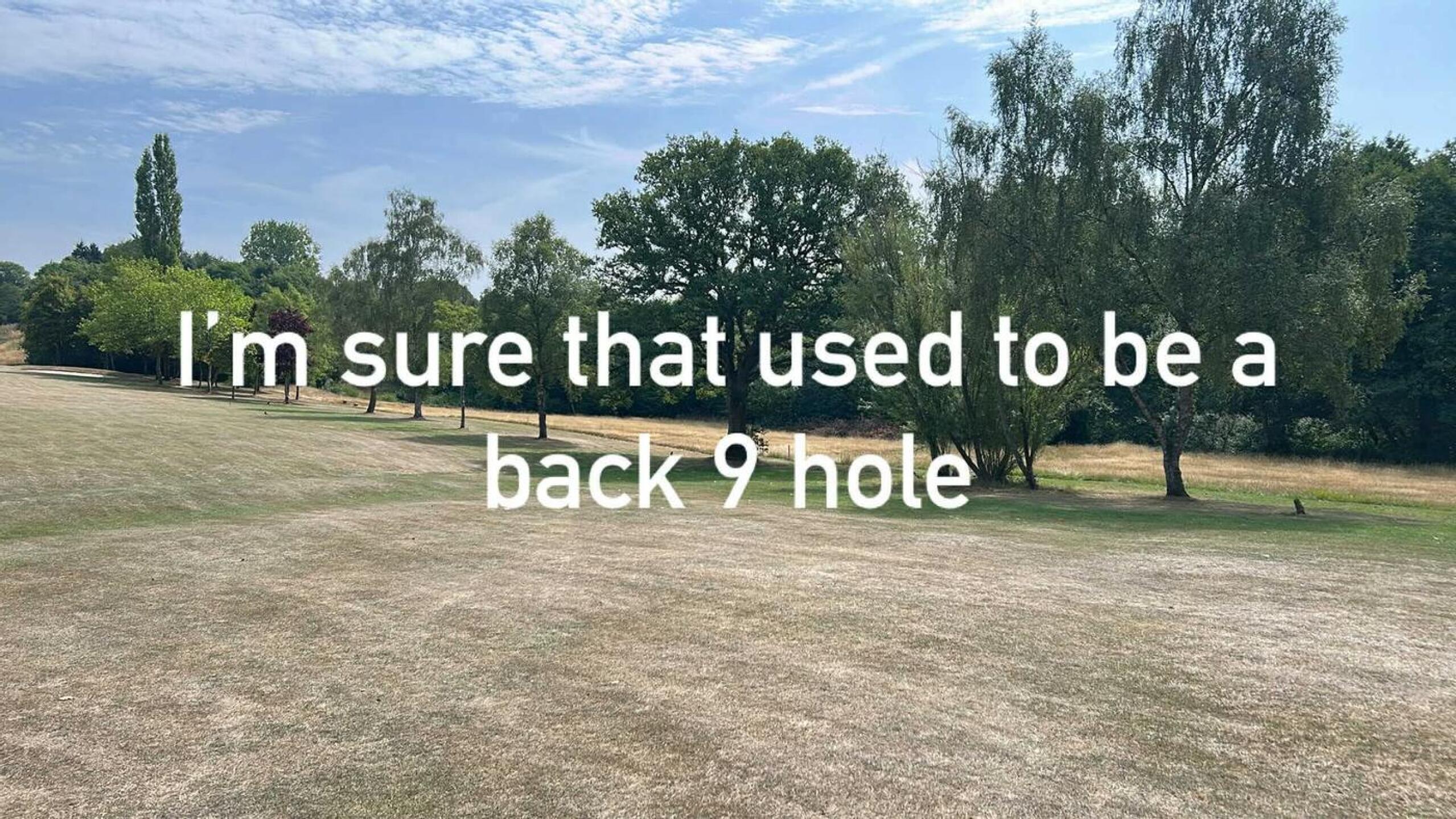 (Photo submitted by Ballista93 on 08/11/2025)