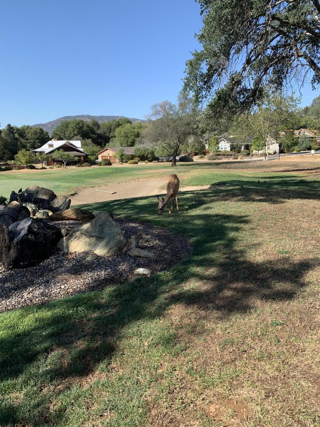 (Photo submitted by vanillaalcatraz on 07/24/2021)