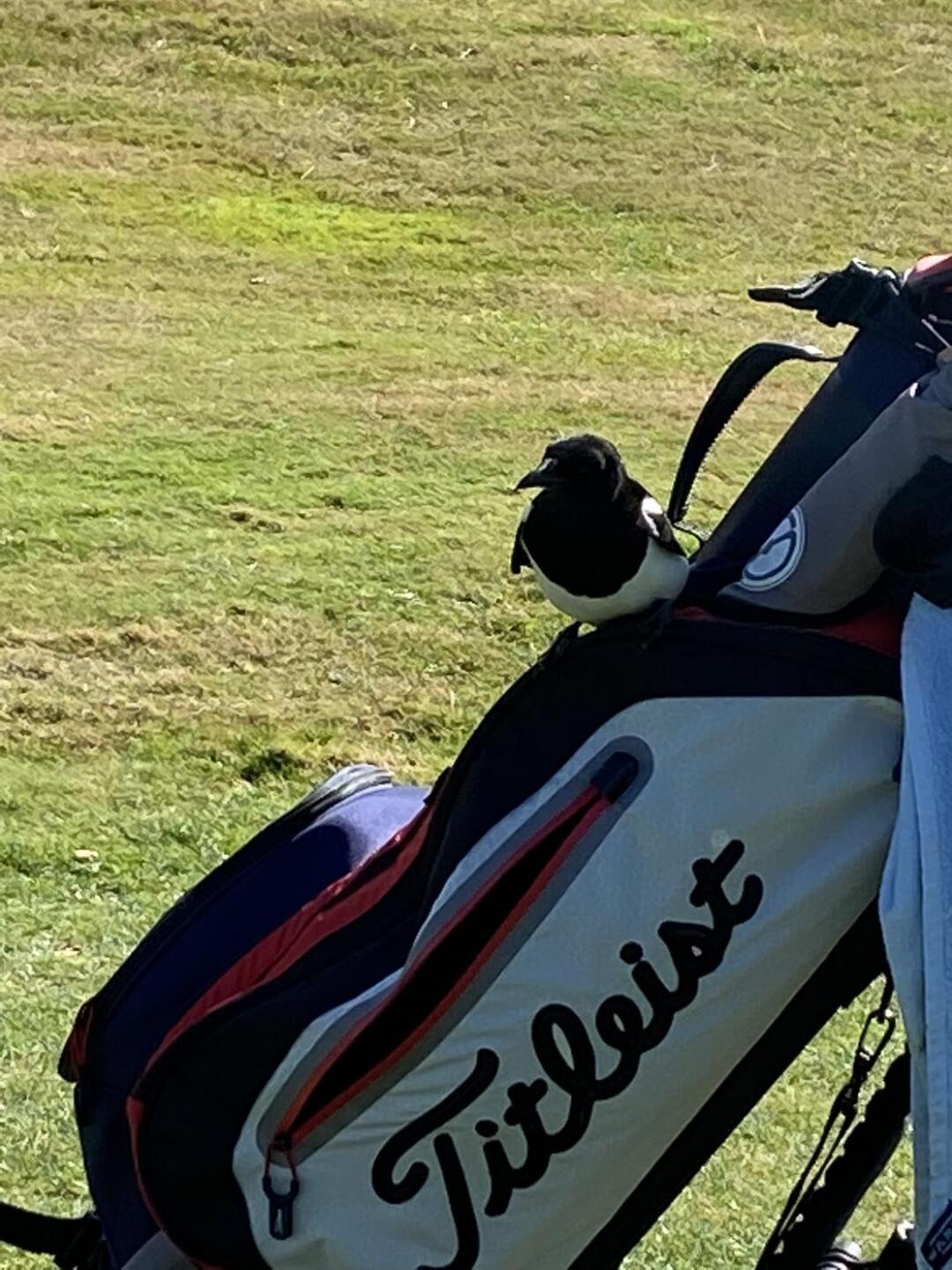 (Photo submitted by Munier on 09/11/2025)