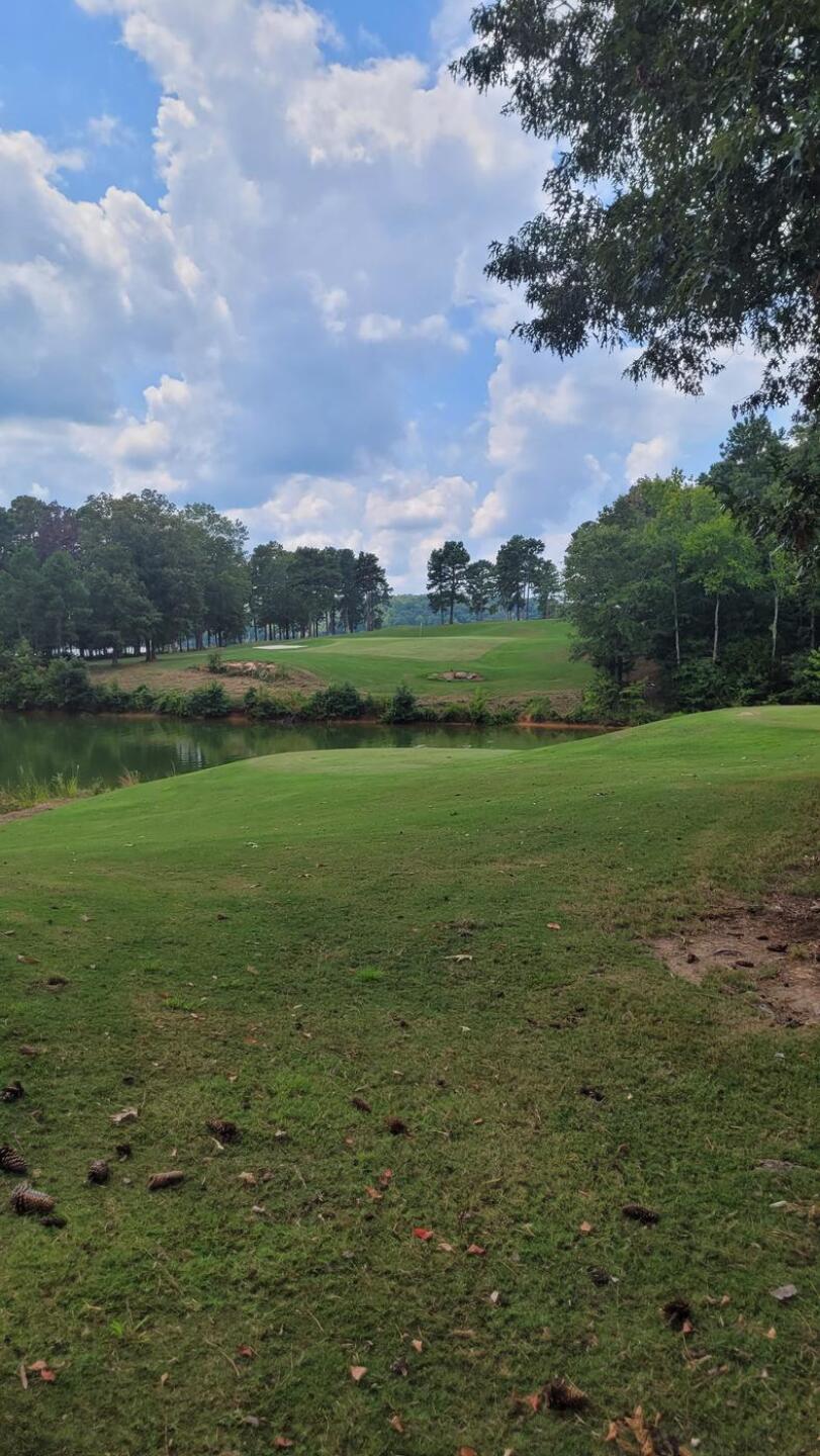 (Photo submitted by MikeM on 08/15/2024)