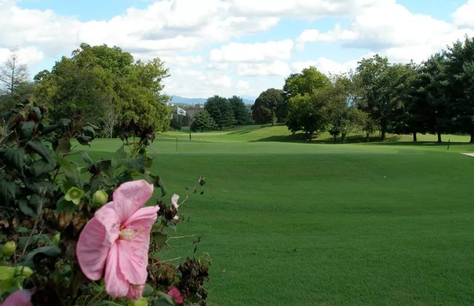 Green Meadow CC: #18