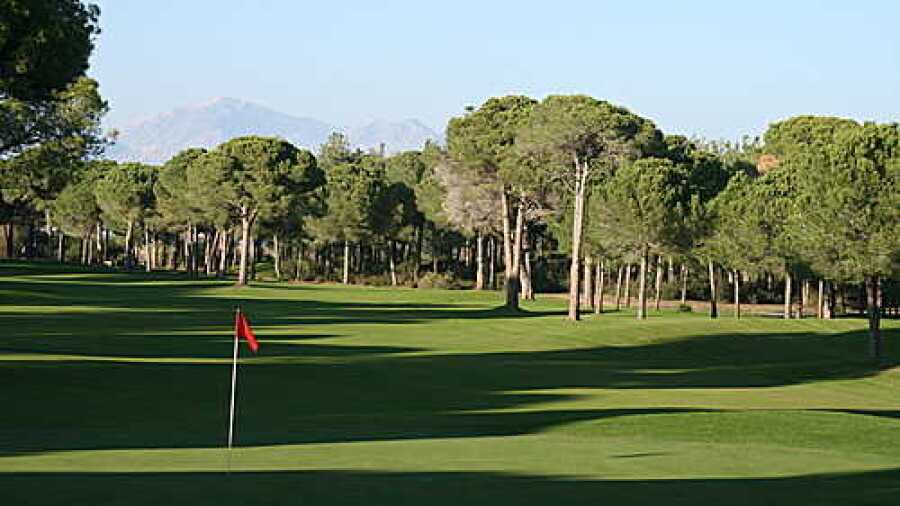 Robinson GC Nobilis