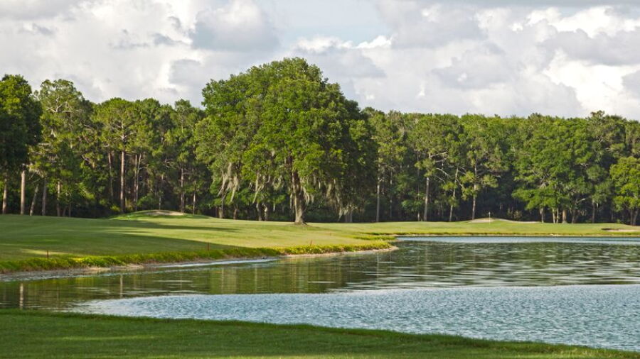 Julington Creek: #8