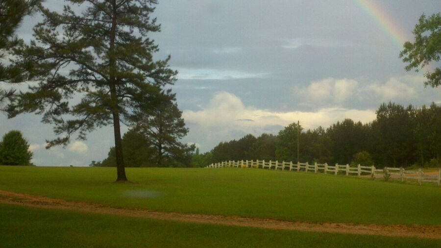 Pine Hills CC