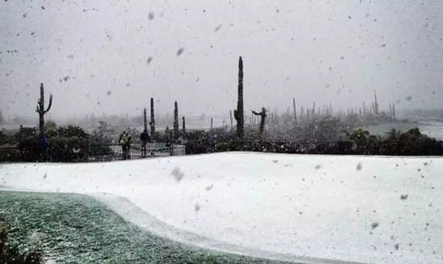 Snowstorm during the Accenture Match Play Championship