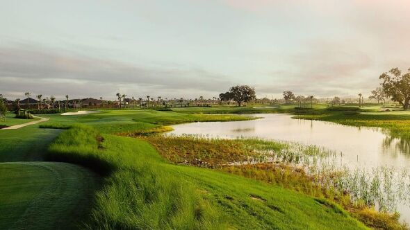 Loblolly Executive GC