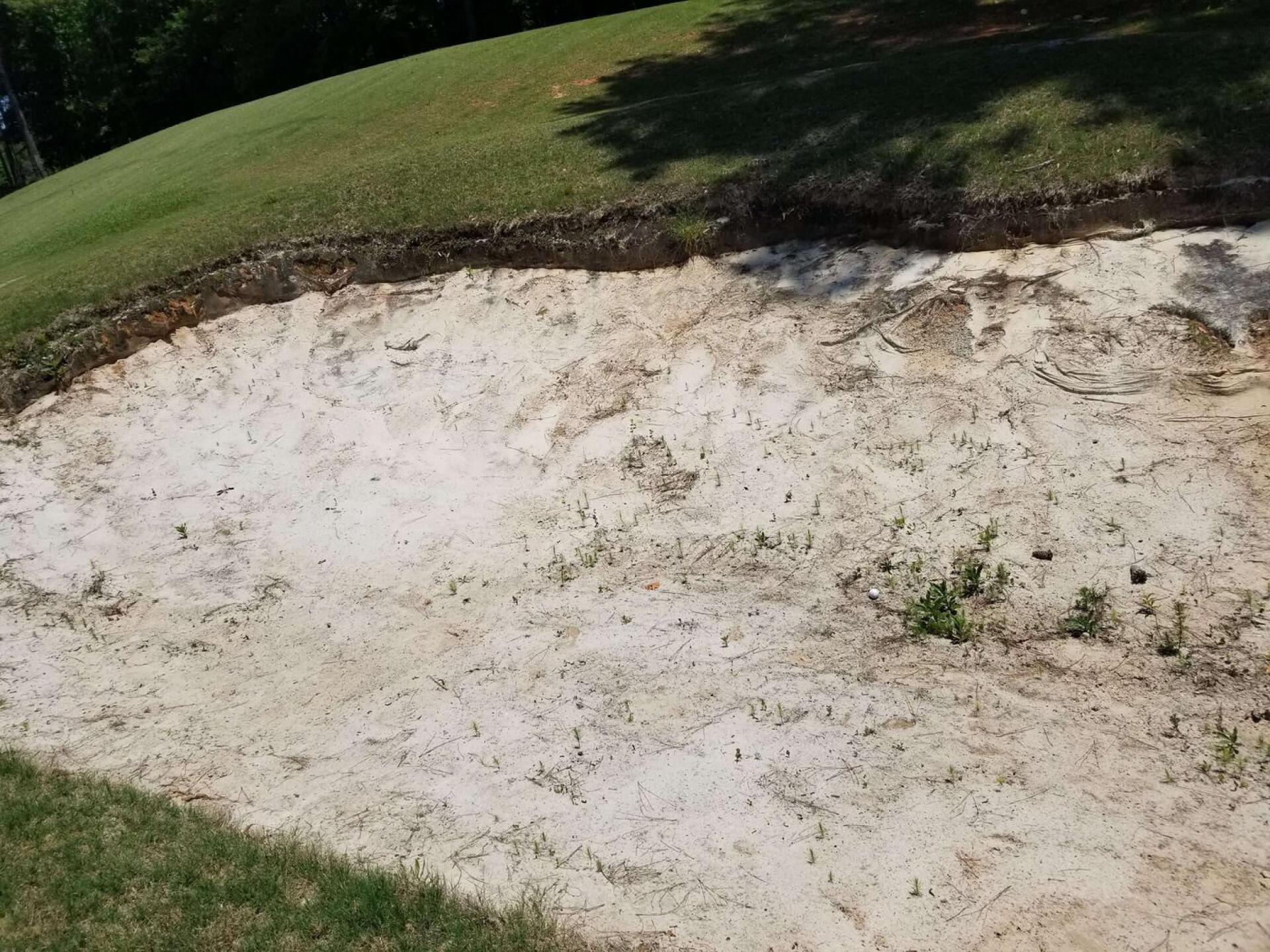 (Photo submitted by BrianMcGrathGolf on 06/04/2023)