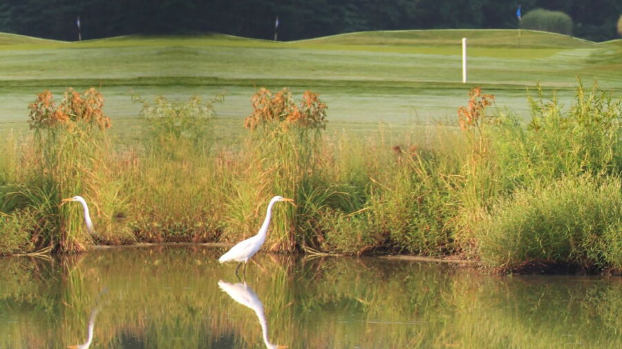 Great Hope GC