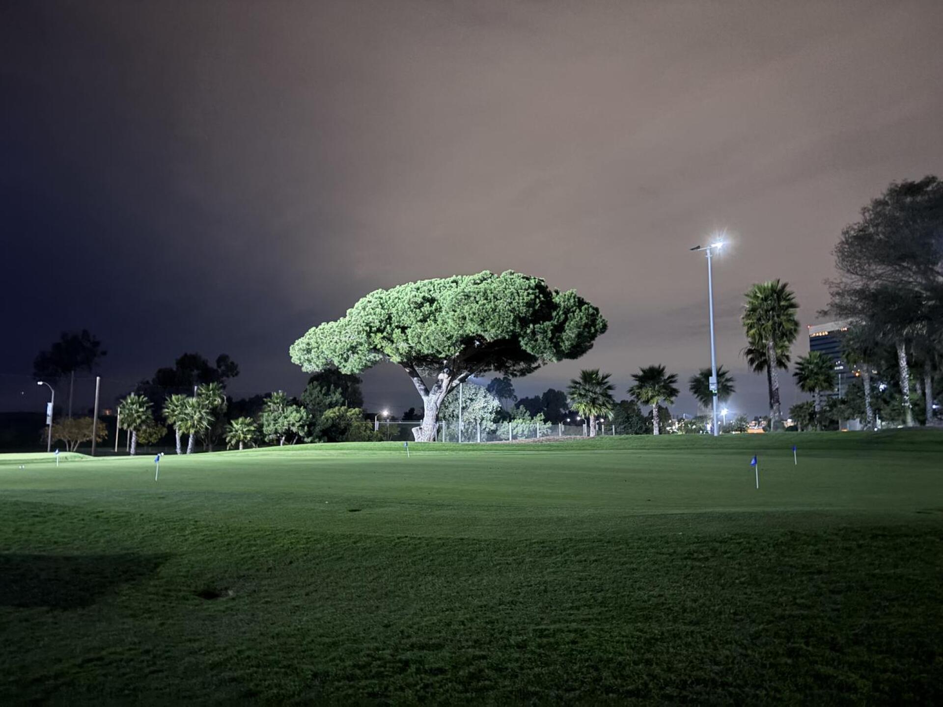 (Photo submitted by worrski on 12/31/2025)